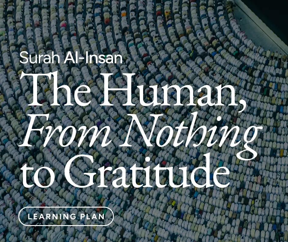 Surah Al-Insan: The Human, From Nothing to Gratitude